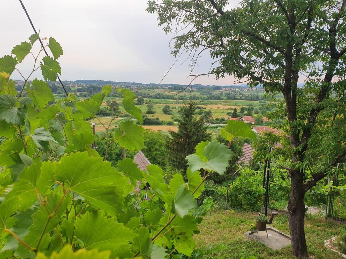 Holiday Home Draskica Oroslavje ภายนอก รูปภาพ